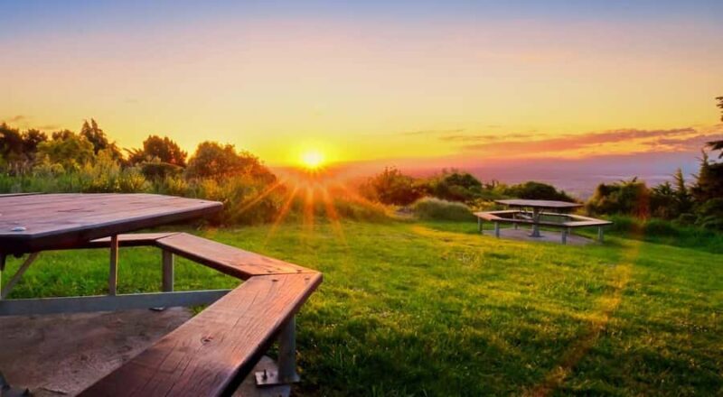 Christchurch City Highlights Half Day Tour - The Sum Up