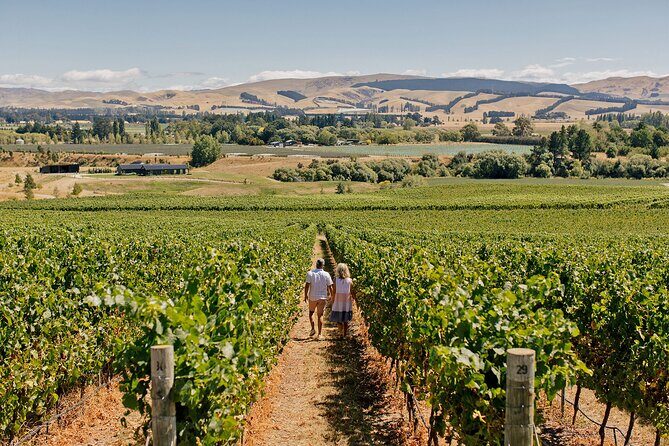 Christchurch City & Waipara Valley Wine Tour - Immersive Market Experience at Riverside
