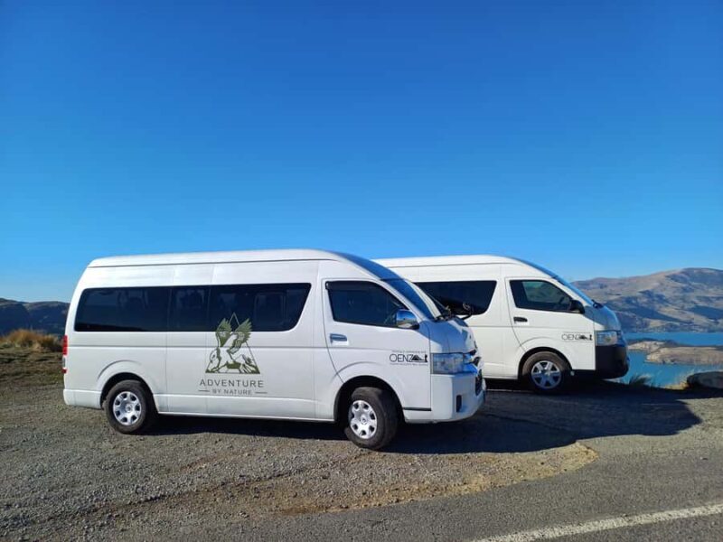 Christchurch: Full or Half-Day Rock Climbing Tour with Guide - Who Will Benefit Most?