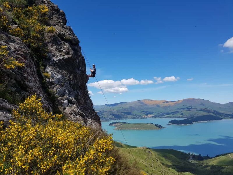 Christchurch: Full or Half-Day Rock Climbing Tour with Guide - Final Thoughts