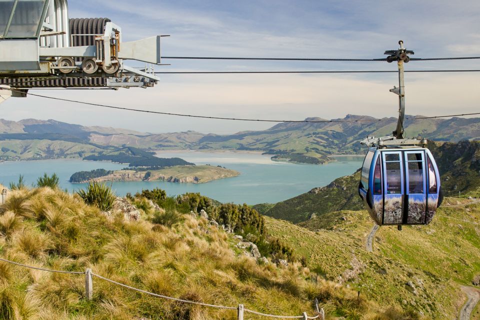 Christchurch: Gondola Ticket and Punt Ride on the Avon River - Booking Information