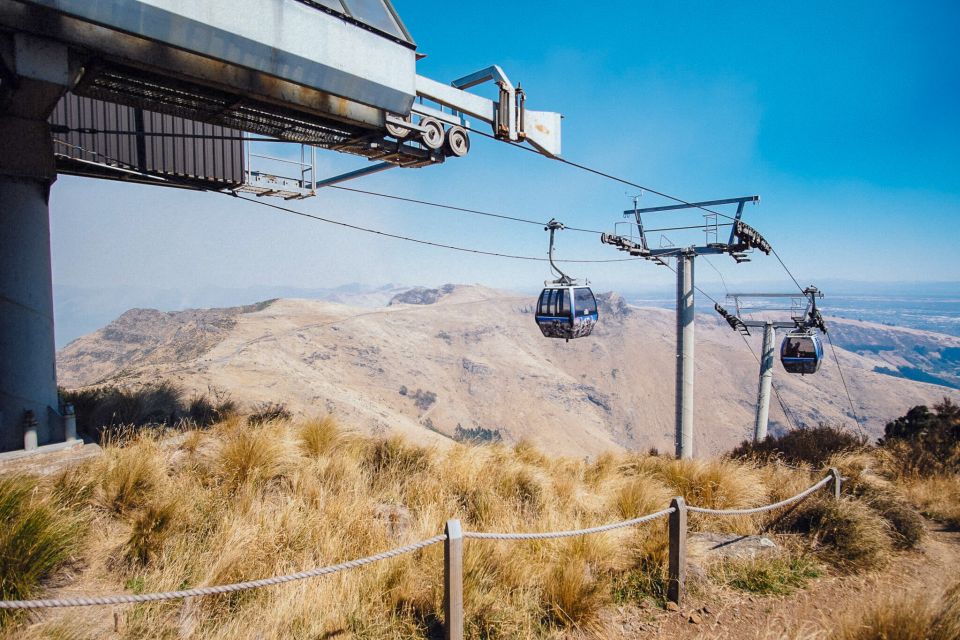 Christchurch: Gondola Ticket and Punt Ride on the Avon River - Highlights