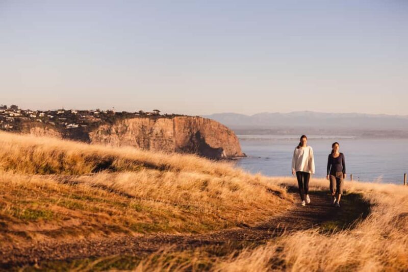 Christchurch: Guided Crater Rim Walk with Coastal Scenery - Transport, Group Size, and Flexibility