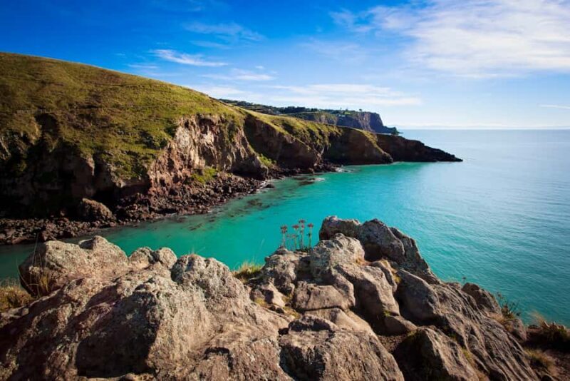 Christchurch: Guided Crater Rim Walk with Coastal Scenery - The Value: Is It Worth It?