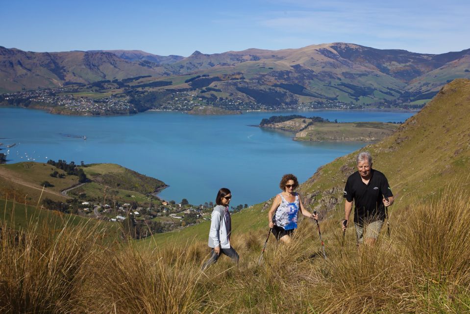Christchurch: Guided Crater Rim Walk With Picnic - Itinerary Highlights
