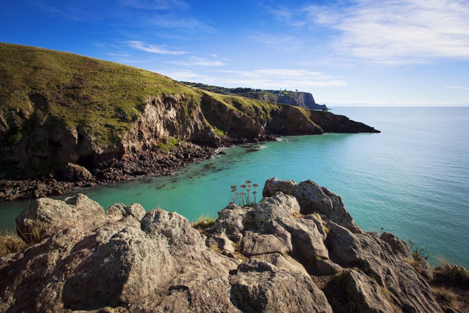 Christchurch: Guided Crater Rim Walk With Picnic - Inclusions Provided