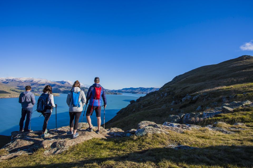 Christchurch: Guided Crater Rim Walk With Picnic - Meeting Point Information