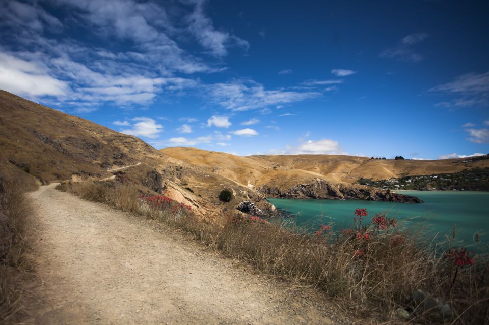 Christchurch: Guided Crater Rim Walk With Picnic - Testimonials From Travelers