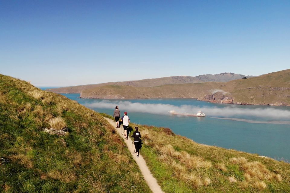 Christchurch: Guided Crater Rim Walk With Picnic - Important Directions and Recommendations