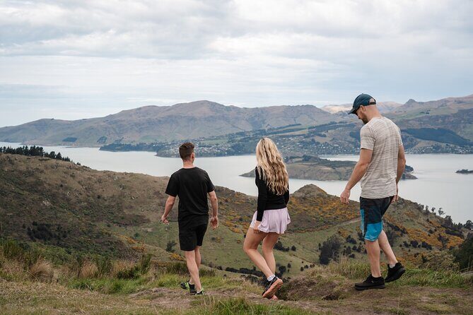 Christchurch Highlights Tour (Full Day Private) - Why Choose the Christchurch Highlights Tour?