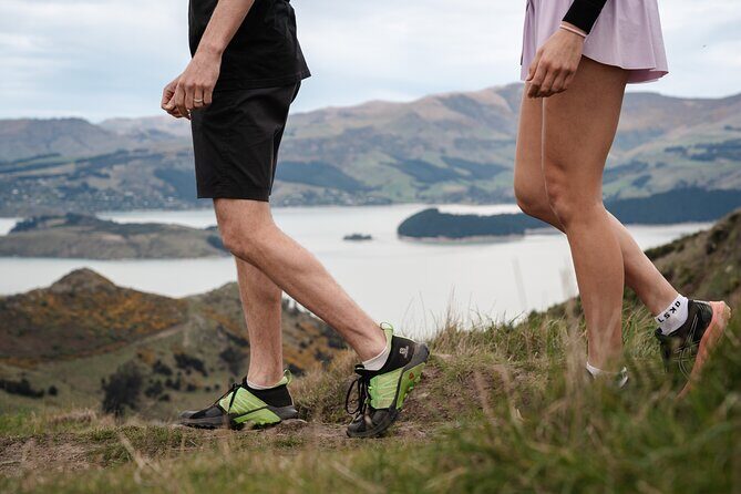 Christchurch Highlights Tour (Full Day Private) - What Sets This Tour Apart?