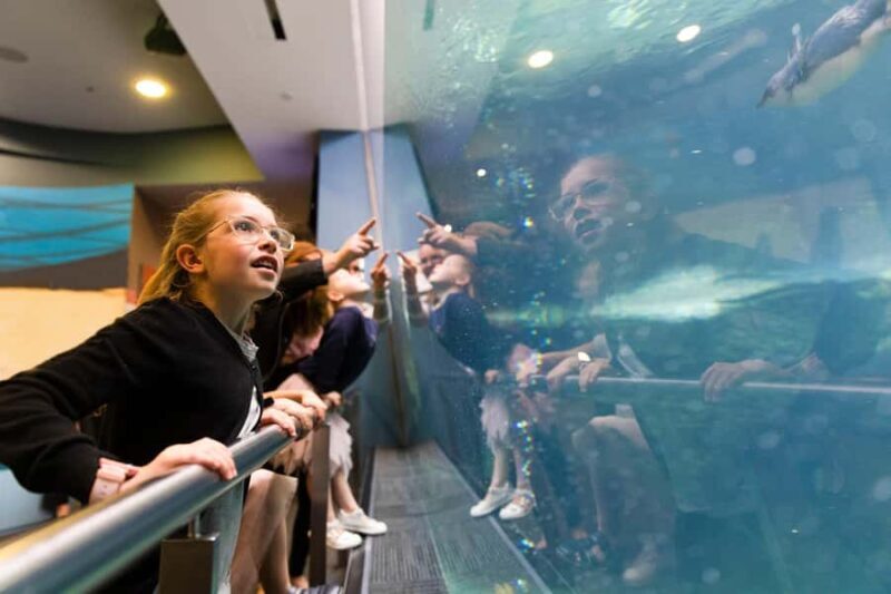 Christchurch International Antarctic Centre Entry Tickets - The Sum Up