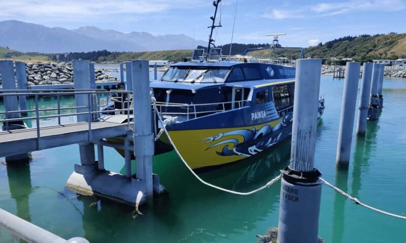 Christchurch: Kaikoura Day Tour with Hotel Pickup - Because You Need to Know