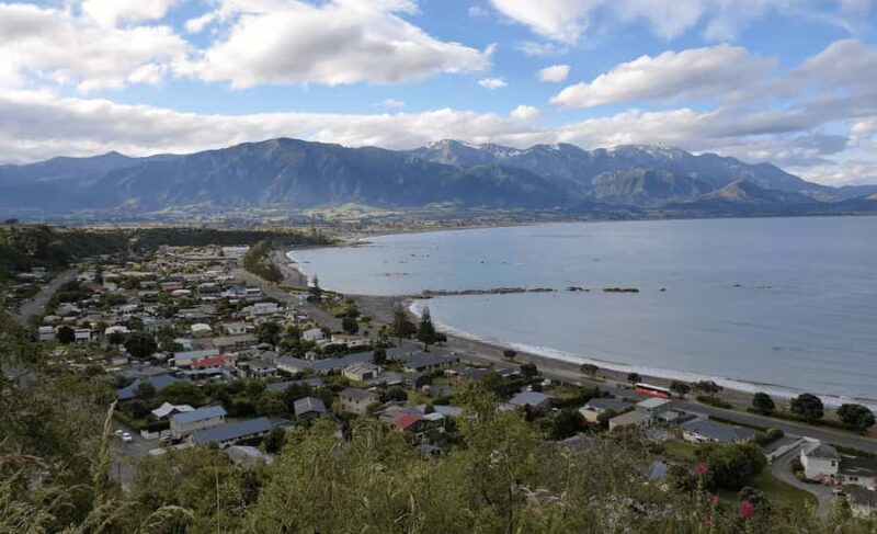 Christchurch: Kaikoura Day Tour with Hotel Pickup - Who Should Consider This Tour?