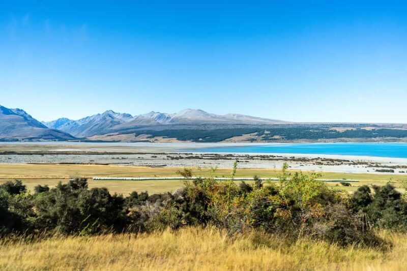 Christchurch: Lake Tekapo Day Trip with Hot Springs - What to Expect from the Tour