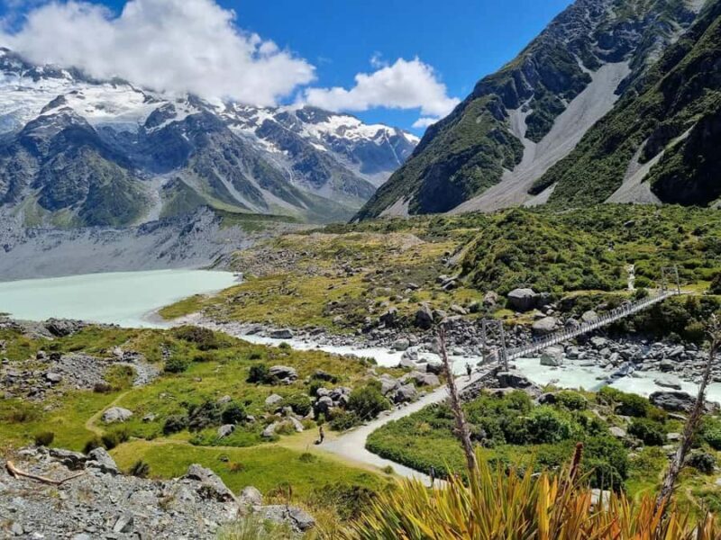 Christchurch: Mt Cook Full-Day Private Tour via Lake Tekapo - Who Will Love This Tour?
