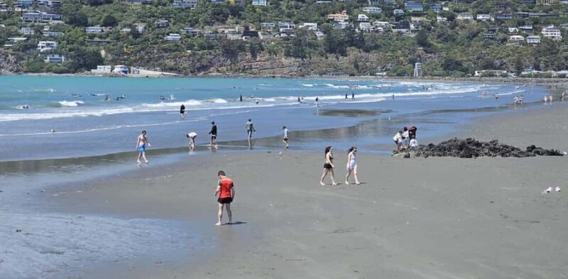 Christchurch Sightseeing & Lyttelton Harbour Tour - Summary: Who Should Consider This Tour?