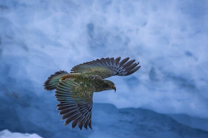 Christchurch to Franz Josef One Way Day Tour with TranzAlpine - Final Thoughts