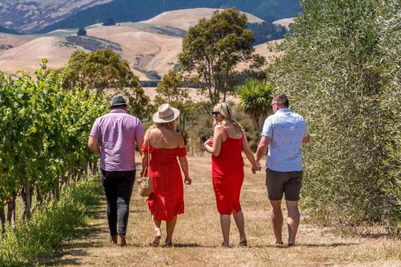 Christchurch Waipara Valley Private Wine Tour - Authentic and Balanced Experience