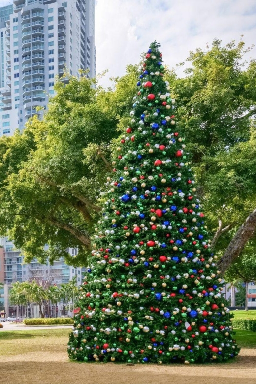 Christmas Discovery in Miami Walking Tour - Recap