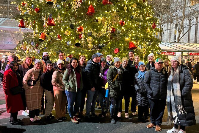 Christmas Holiday Lights Private Tour - Logistics and Practical Tips