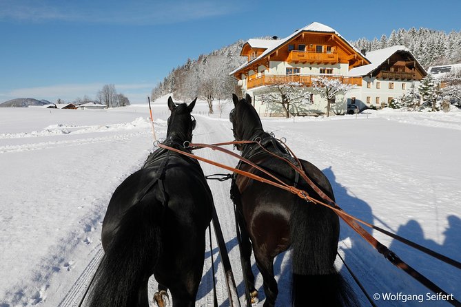 Christmas Horse-Drawn Sleigh Ride From Salzburg - Lunch at the Local Inn