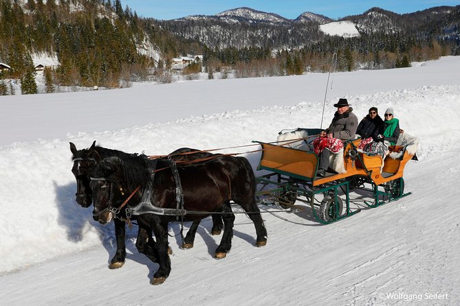 Christmas Horse-Drawn Sleigh Ride From Salzburg - Midway Stop for Snow Play