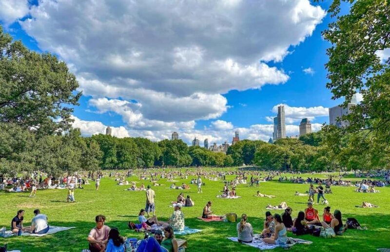 Christmas in Central Park: Horse Carriage Holiday Tour - An Overview of the Experience