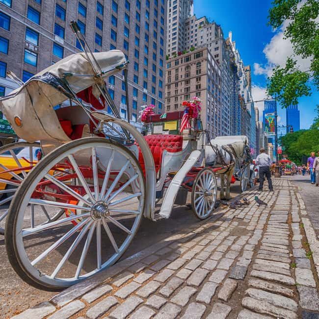 Christmas in Central Park: Horse Carriage Holiday Tour - Practical Details and What to Expect