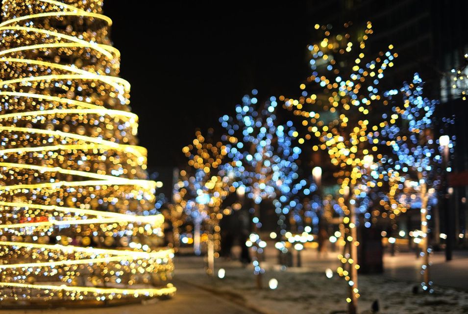 Christmas in the City: A Minneapolis Walking Tour - Professional Local Tour Guide
