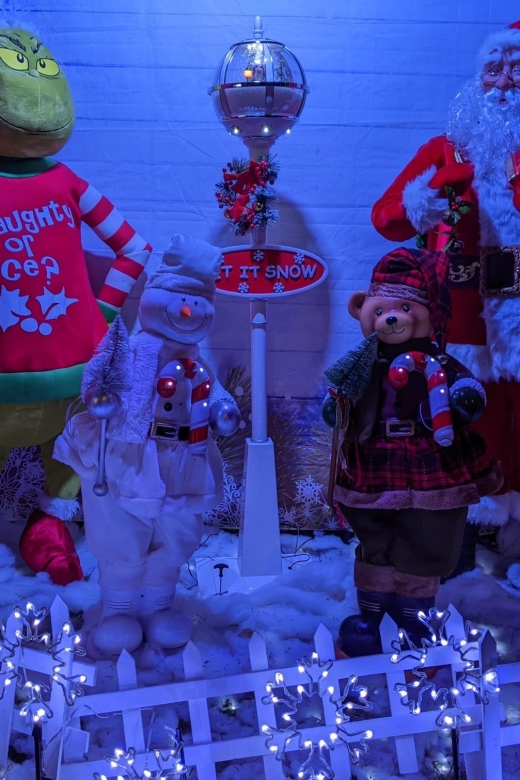 Christmas Light Night Tour - Pricing