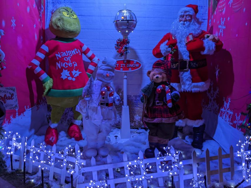 Christmas Light Night Tour - Neighborhood Exploration