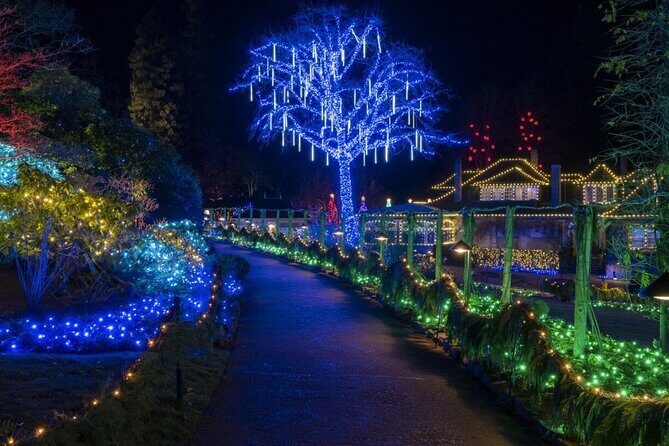 Christmas Lights Tour Butchart Gardens & City Tour in Victoria BC - Analyzing the Value