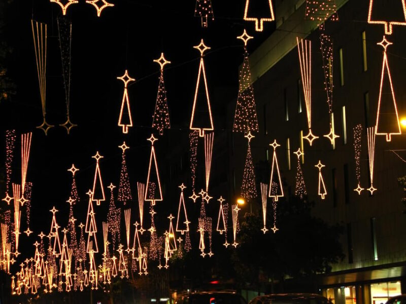 Christmas Magic in Barcelona’s Gothic Quarter - Experiencing the Fira De Santa Llúcia