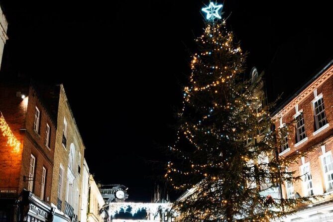Christmas Mulled Wine Walk of Winchester - Authentic, Festive, and Fun: Who Will Love This Tour?