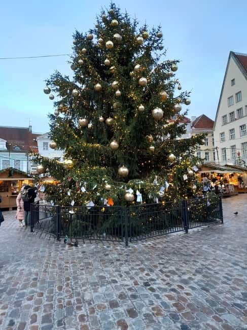 Christmas walking tour Tallinn Christmas market - Who Should Consider This Tour?