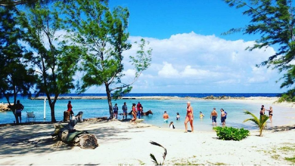 Chukka Horseback Ride & Swim From Montego Bay - Activity Overview