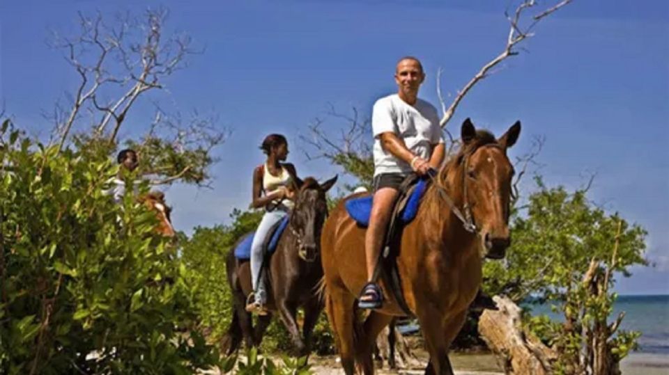Chukka Horseback Ride & Swim From Montego Bay - Horseback Riding Highlights