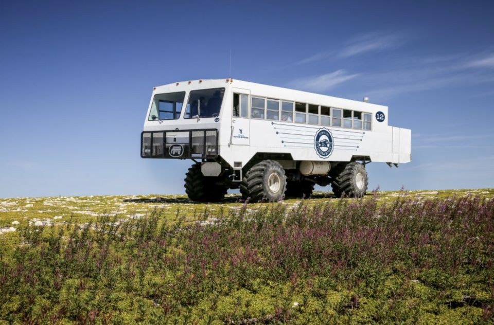 Churchill: Exclusive Tundra Buggy Day Trip - Key Points