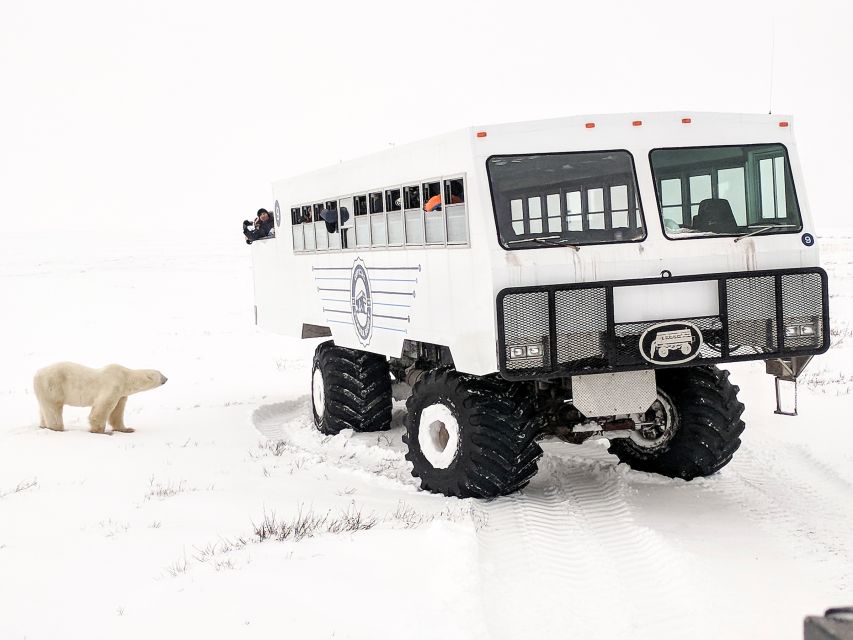 Churchill: Exclusive Tundra Buggy Day Trip - Inclusions and Amenities