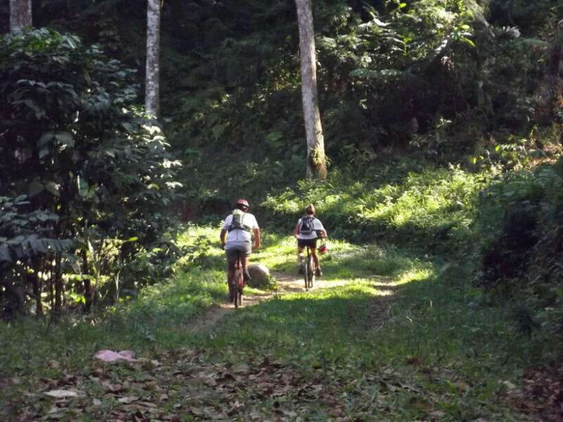 CIanjur : Downhill and Countryside Cianjur Cycling Tour - The Tour Experience in Detail