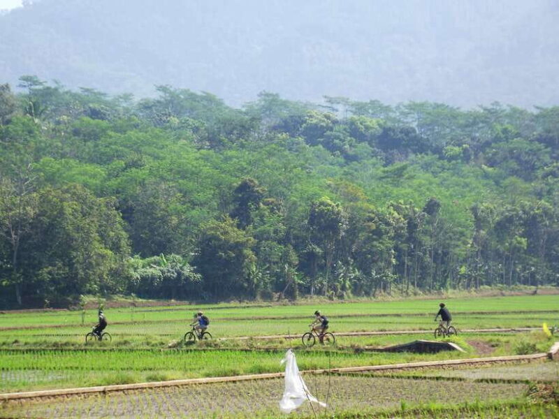 CIanjur : Downhill and Countryside Cianjur Cycling Tour - Why This Tour is a Great Choice