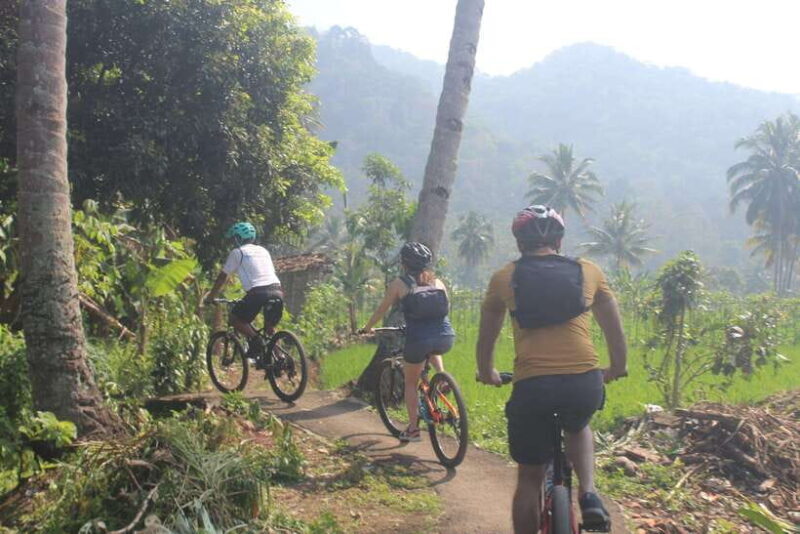 CIanjur : Downhill and Countryside Cianjur Cycling Tour - FAQ