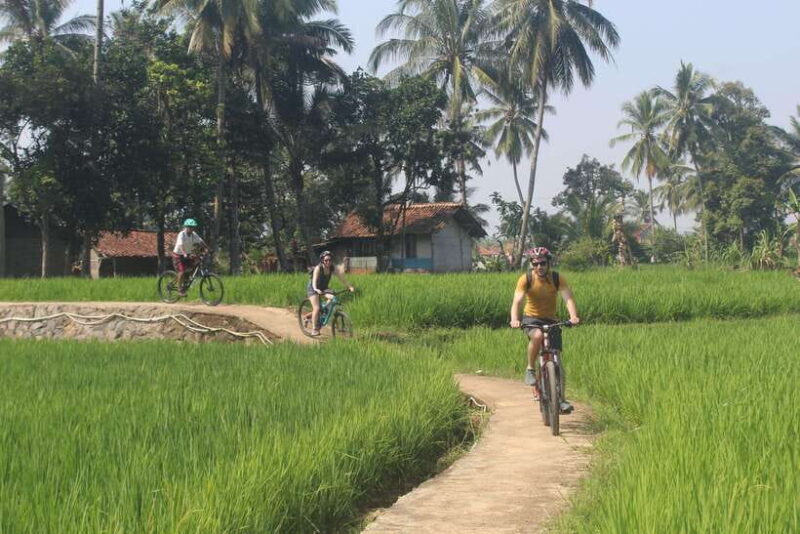 CIanjur : Downhill and Countryside Cianjur Cycling Tour - Final Thoughts