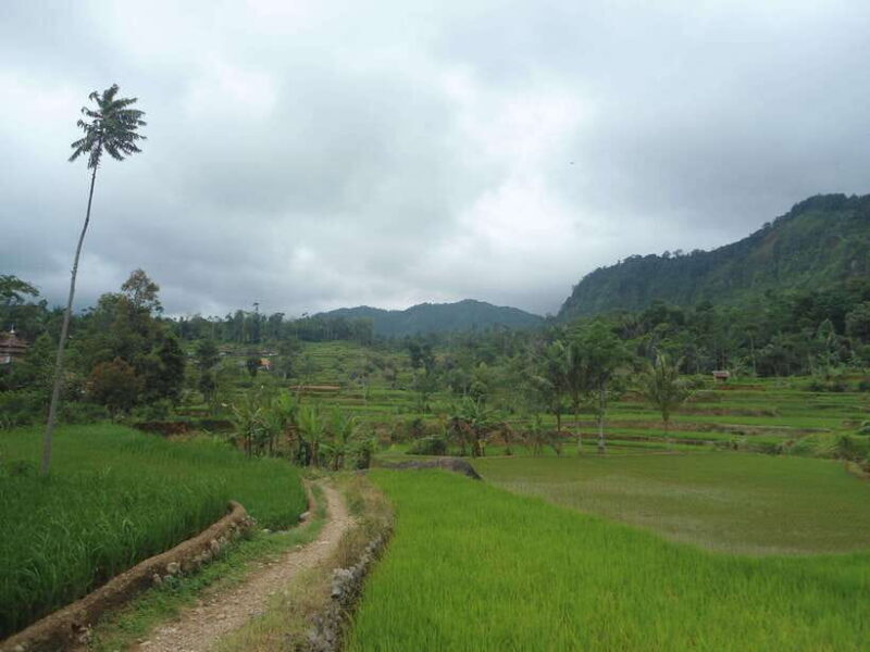 Cianjur : Motor Bike Trip the Remote Village and Waterfall - Discover the Beauty of Java’s Countryside on a Motorbike
