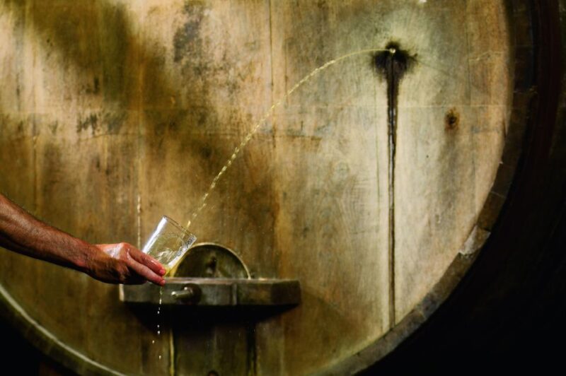 Cider House Experience From San Sebastián - Experience Highlights