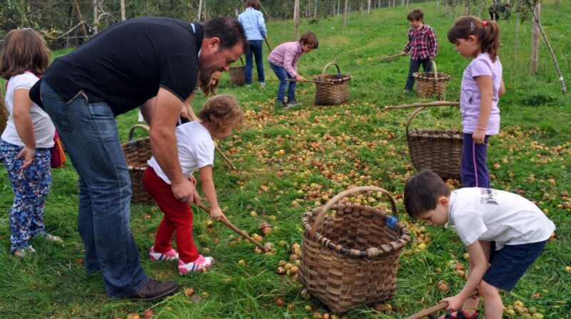 Cider House Experience From San Sebastián - Traditional Cider House Lunch