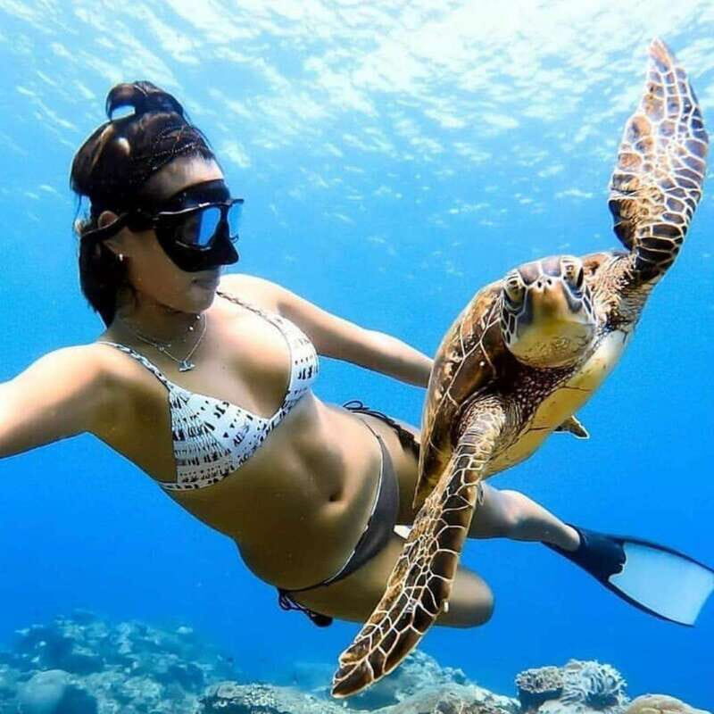 Cielo y Cielito With Transfer, Catamaran, 5 hours Open Bar and Lunch - A Deep Dive into the Experience