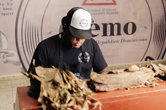Cigar Factory Tour in Puerto Plata - Key Points