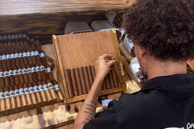 Cigar Factory Tour in Puerto Plata - Authentic Reviews from Visitors